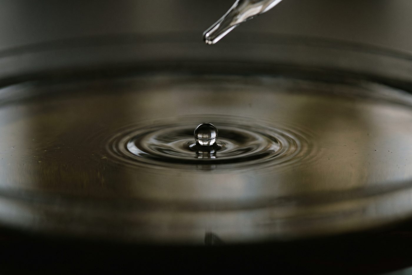 A single drop falling from a fine glass pipette into a still dark pool, the first ring of the ripple razor sharp