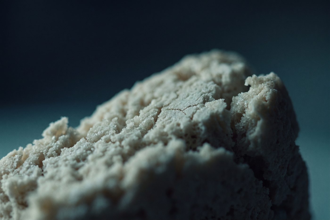 A pale porous freeze dried crystalline cake, its surface like fine coral, cool side light on navy